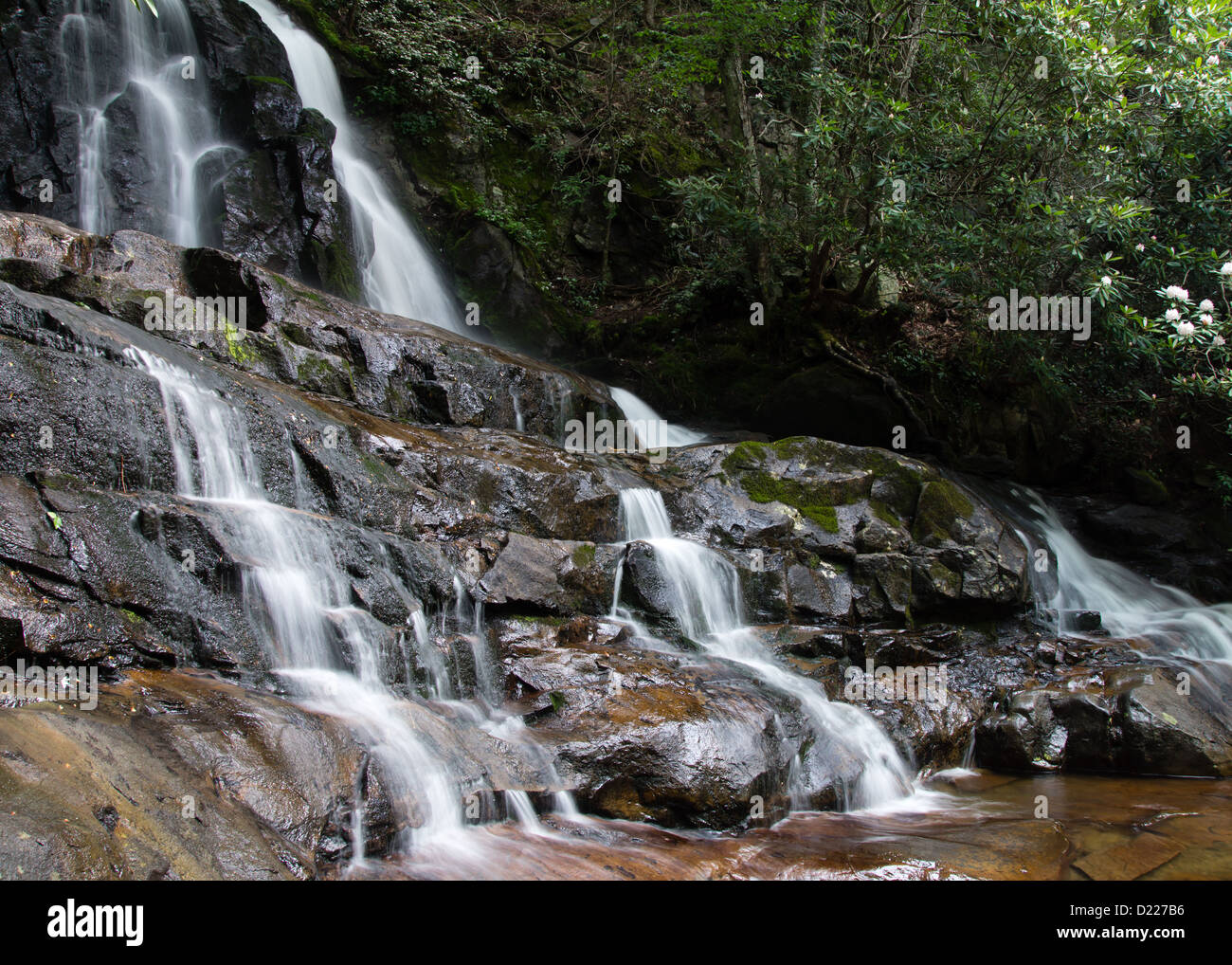 Laurel Falls est l'une des nombreuses cascades de randonnée populaire dans le Great Smoky Mountain National Park Banque D'Images