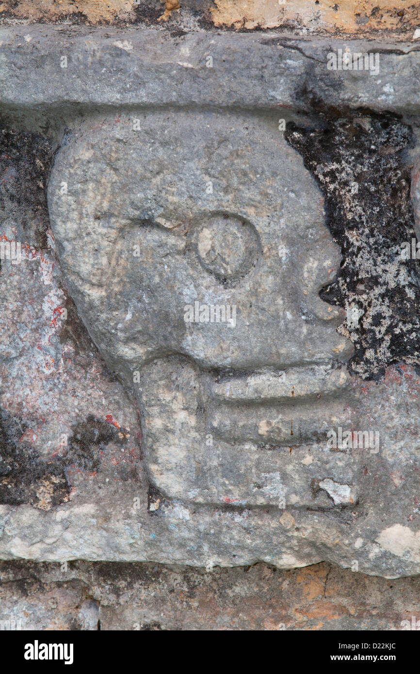 Crâne Sculpté en pierre sur le Tzompantli à Chichen Itza, Yucatan, Mexique Banque D'Images