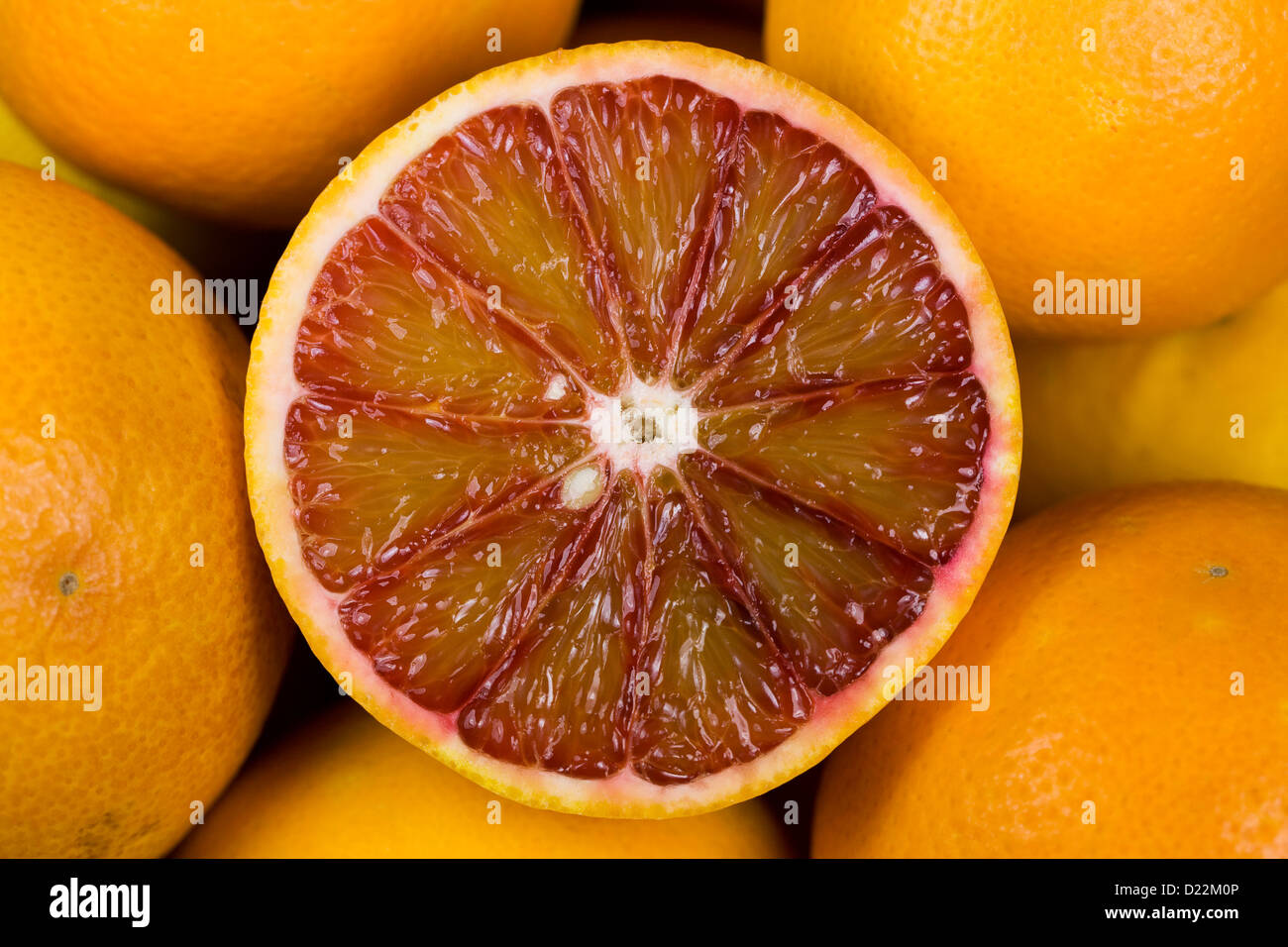 Citrus x sinenesis. Orange sanguine dans un bol de fruits. Banque D'Images