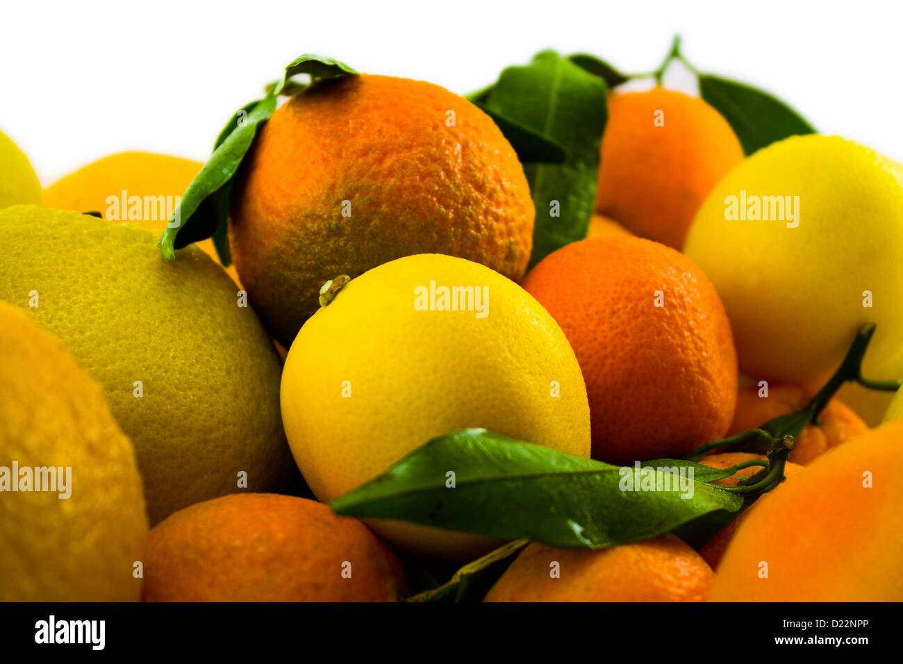 Agrumes Banque D'Images
