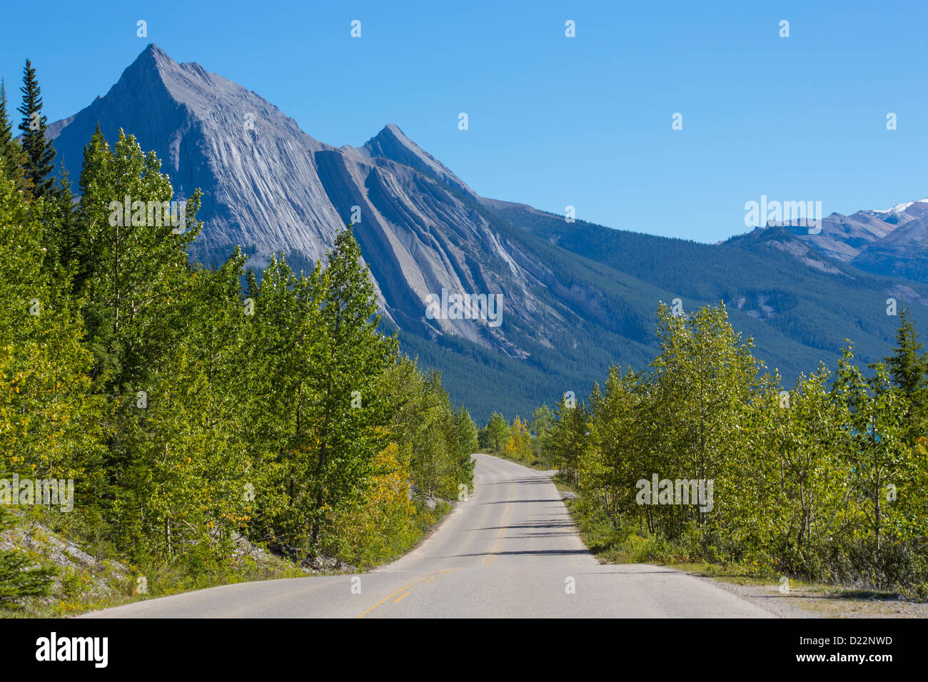 Route de la vallée de la Maligne dans le parc national Jasper en Alberta Canada Banque D'Images