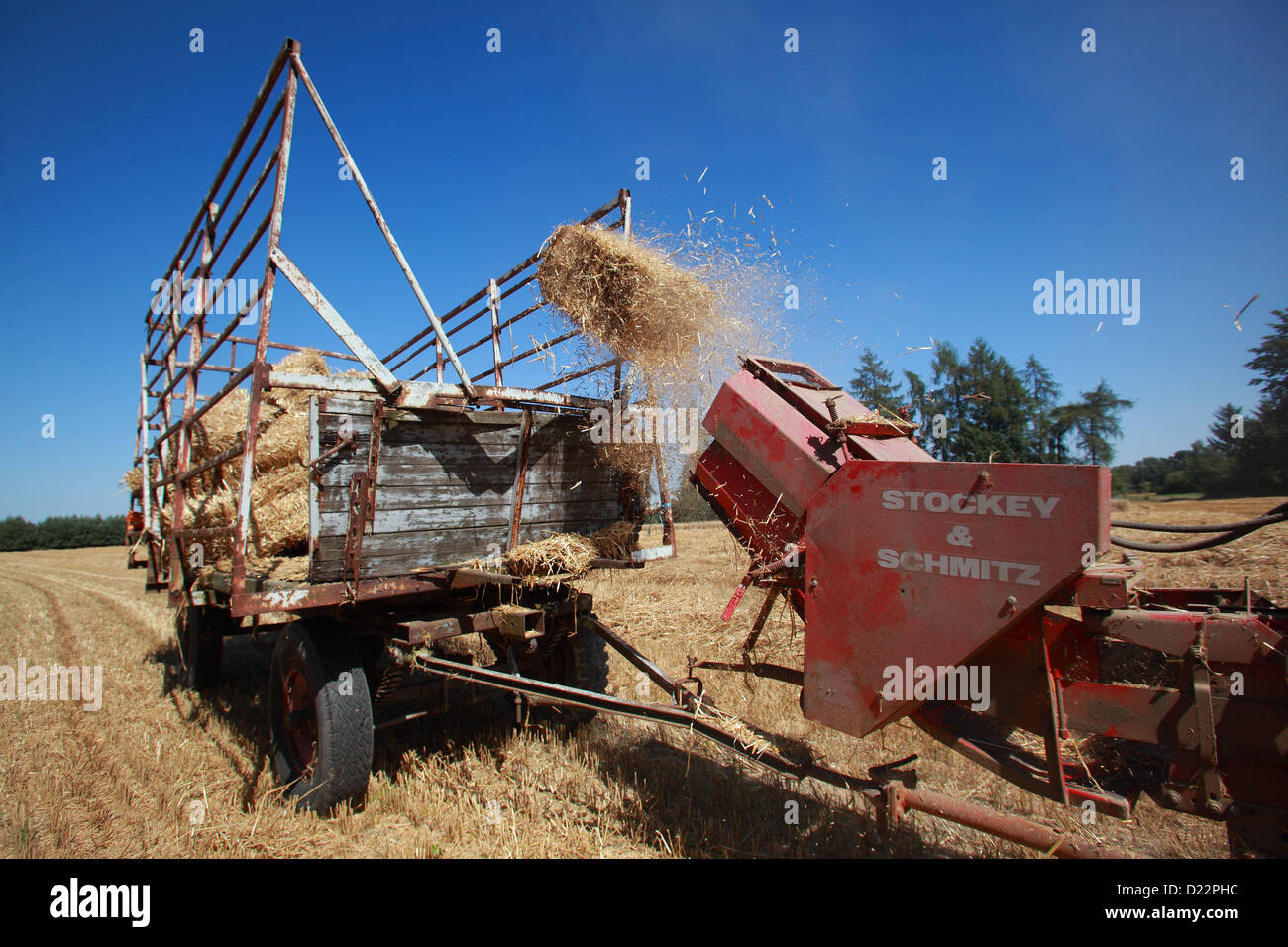 Hamm, Allemagne, la récolte de paille avec une vieille presse Banque D'Images