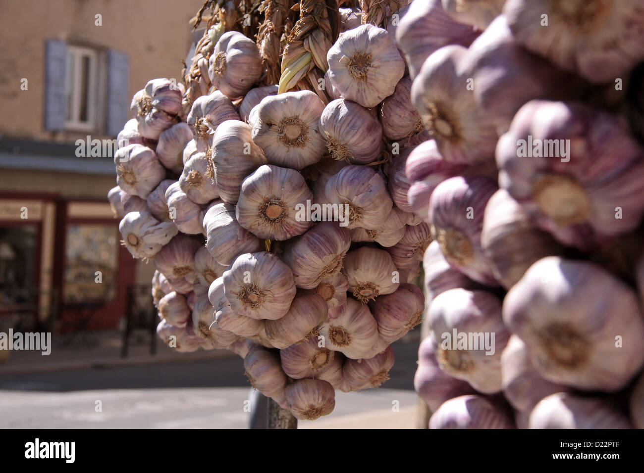 L'ail sur un étal de marché à Sault dans le Rhône Banque D'Images