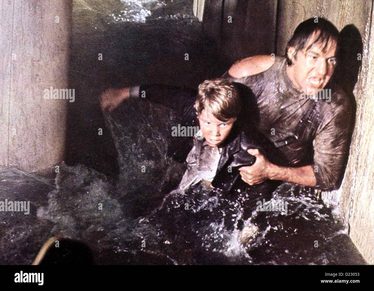 Die Hoellenfahrt Der Poseidon Poseidon Adventure, Eric Shea, Gene ...