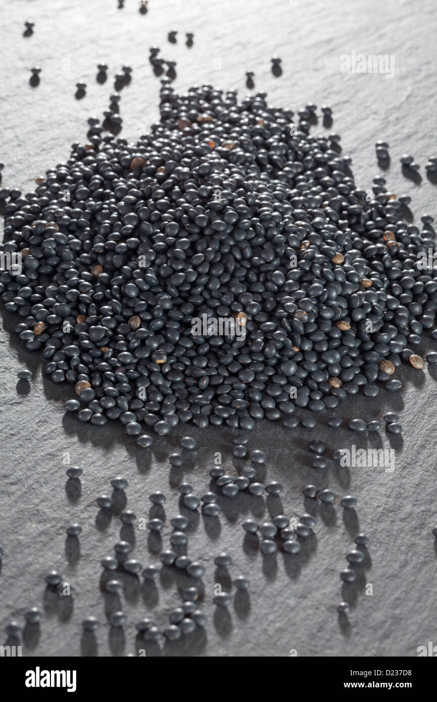 Lentilles Beluga Banque D'Images