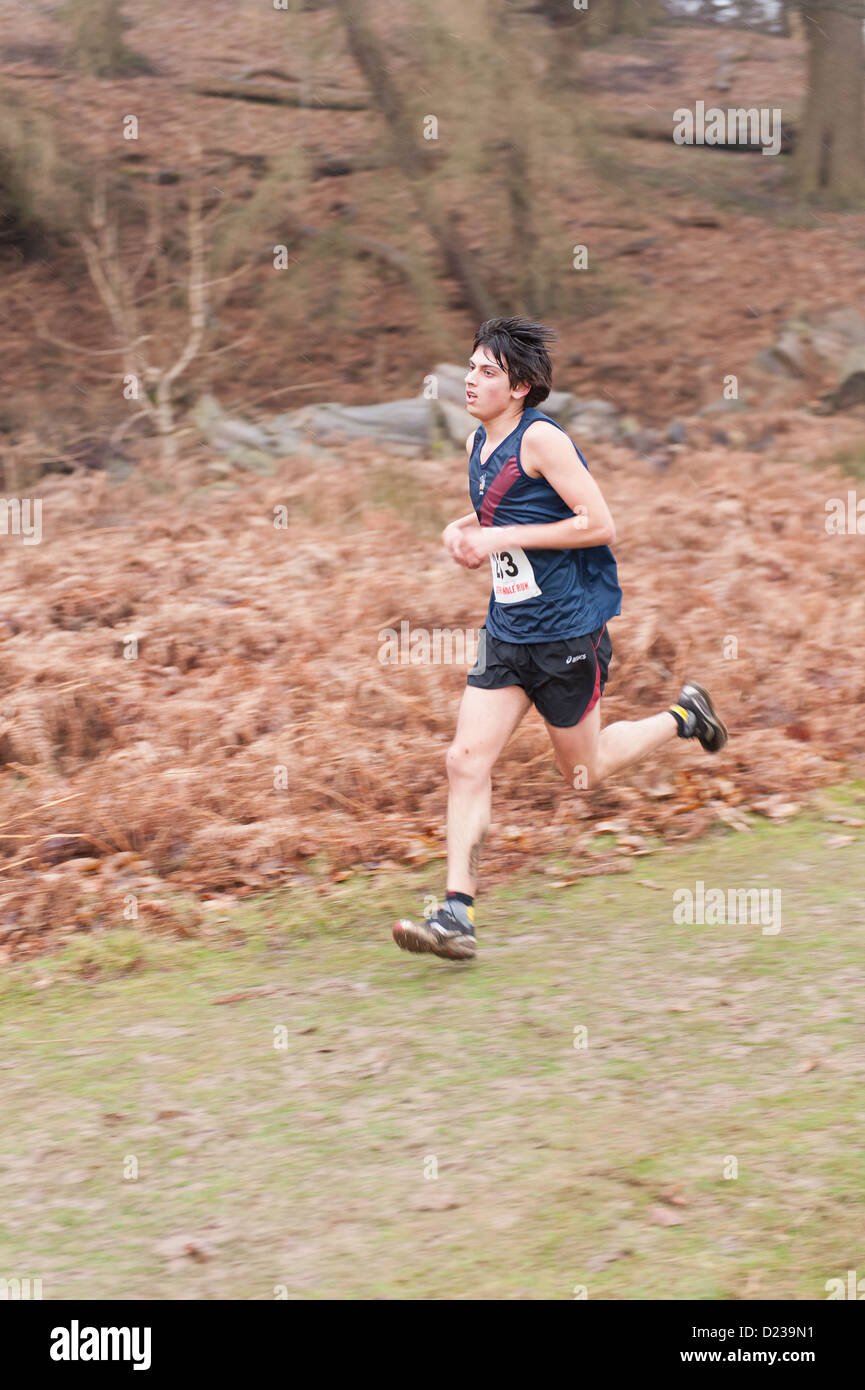 L'Assemblée Knole Run Sevenoaks School cross country 15 jeunes 16 17 ans 6 mile run dans les équipes de la course d'endurance difficiles Banque D'Images L'Assemblée Knole Run Sevenoaks School cross country 15 jeunes 16 17 ans 6 mile run dans les équipes de la course d'endurance difficiles Banque D'Images