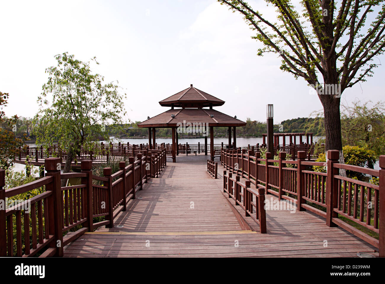 Cherry ,Gu Village Park, Baoshan District, Shanghai, Chine. Banque D'Images