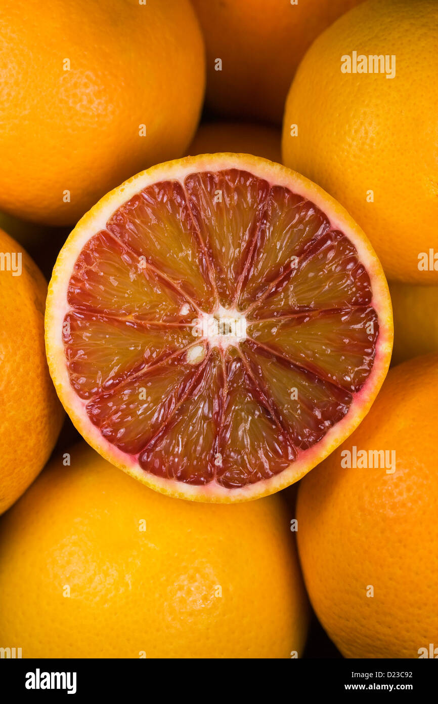 Citrus x sinenesis. Orange sanguine dans un bol de fruits. Banque D'Images