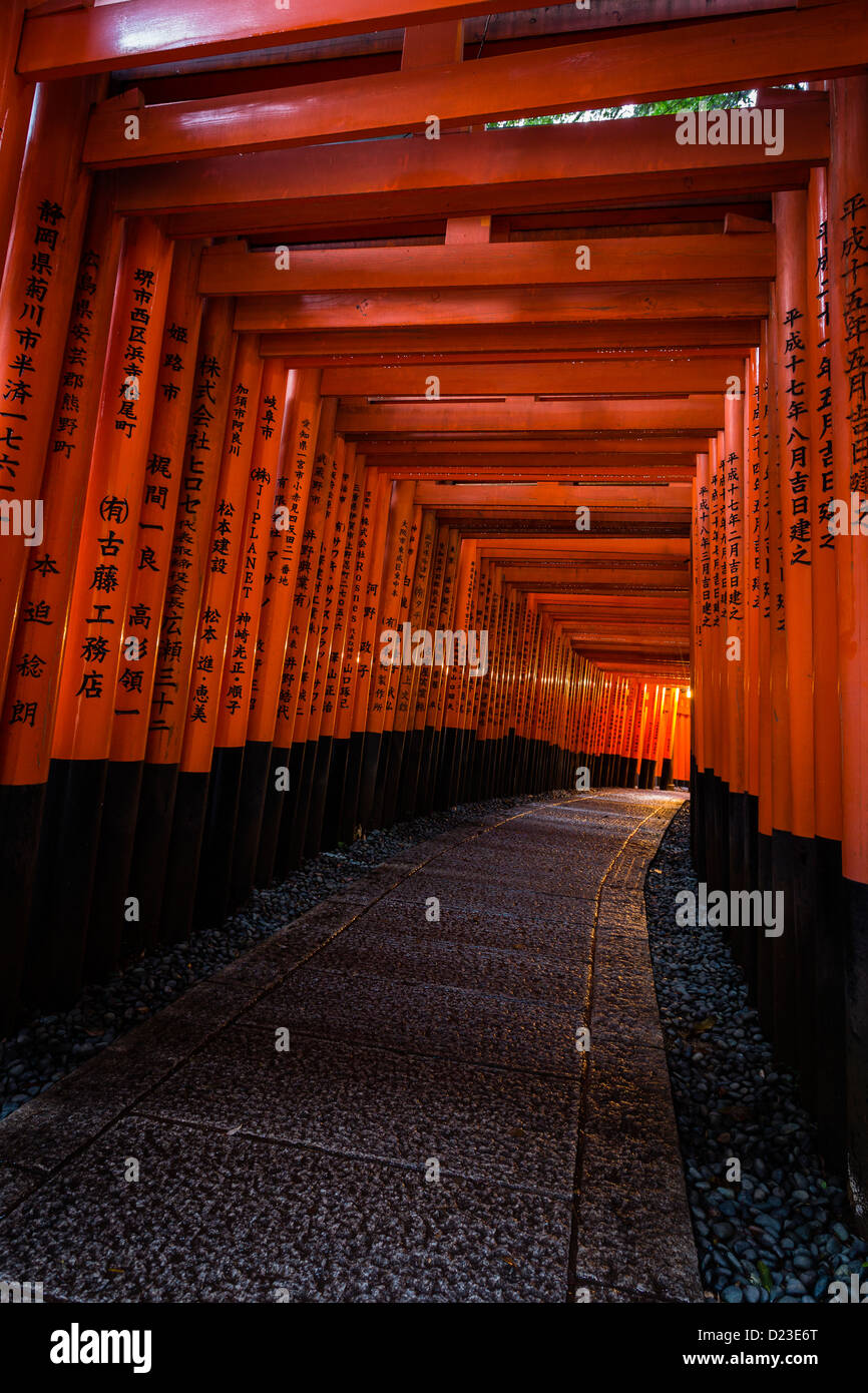 Tunnel créé par tori rouge gates au Sanctuaire Fushimi Inari, à Kyoto. Banque D'Images