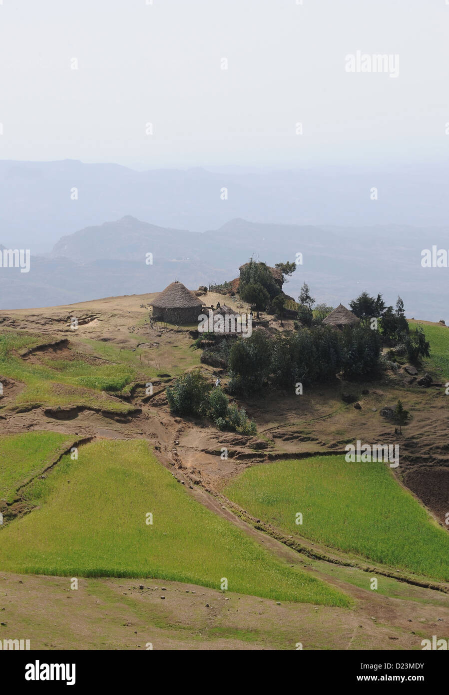 Mangudo, l'Éthiopie, des huttes et des champs dans les highlands Banque D'Images