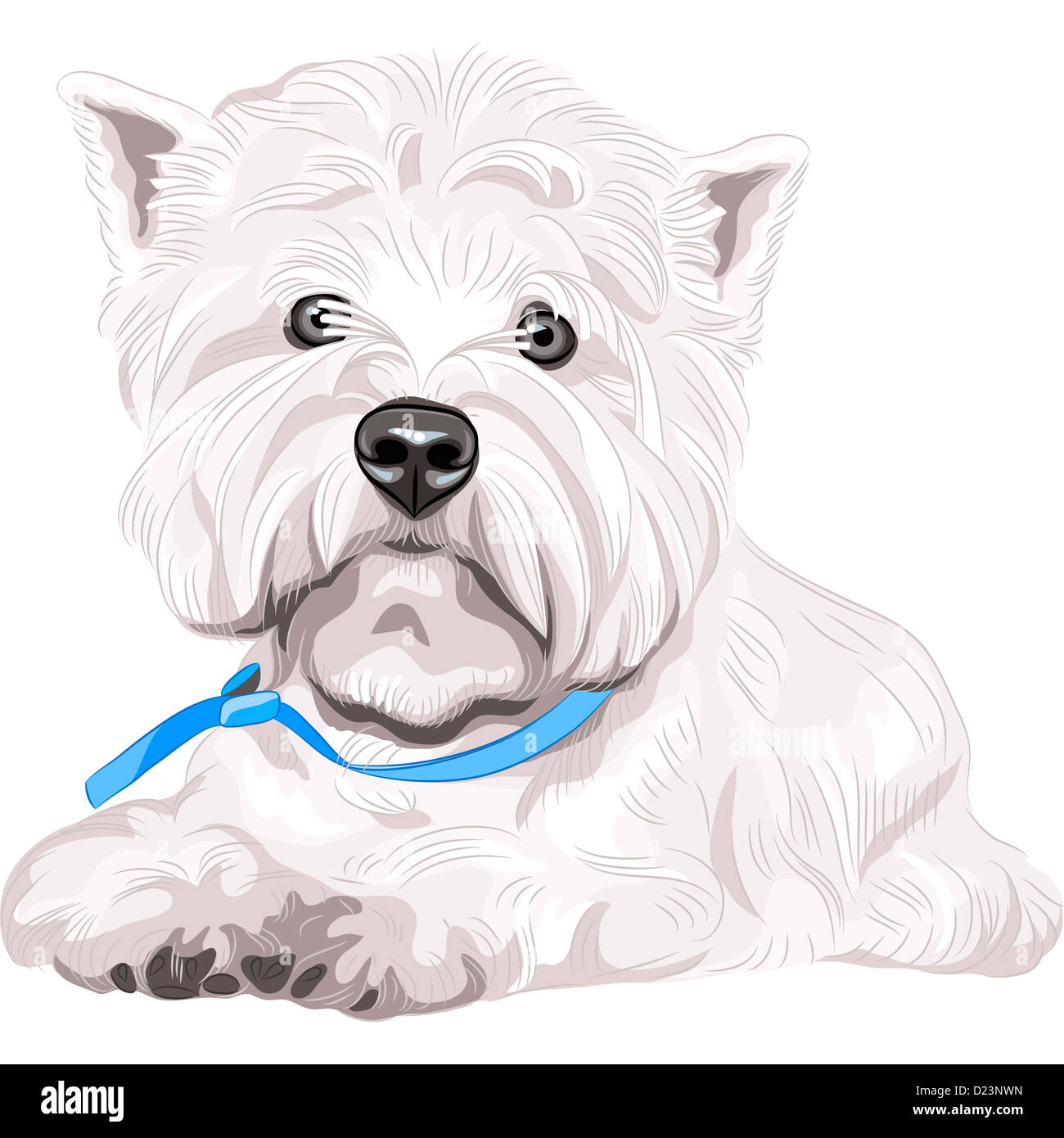 Couleur croquis closeup portrait de graves chien West Highland White Terrier breed à collier bleu Banque D'Images