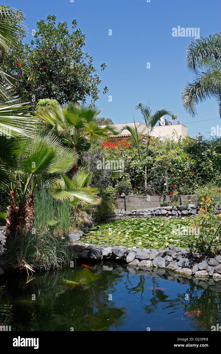 Les Jardins d'Orchidées de Sitio Litre, Puerto de la Cruz, Tenerife Photo  Stock - Alamy