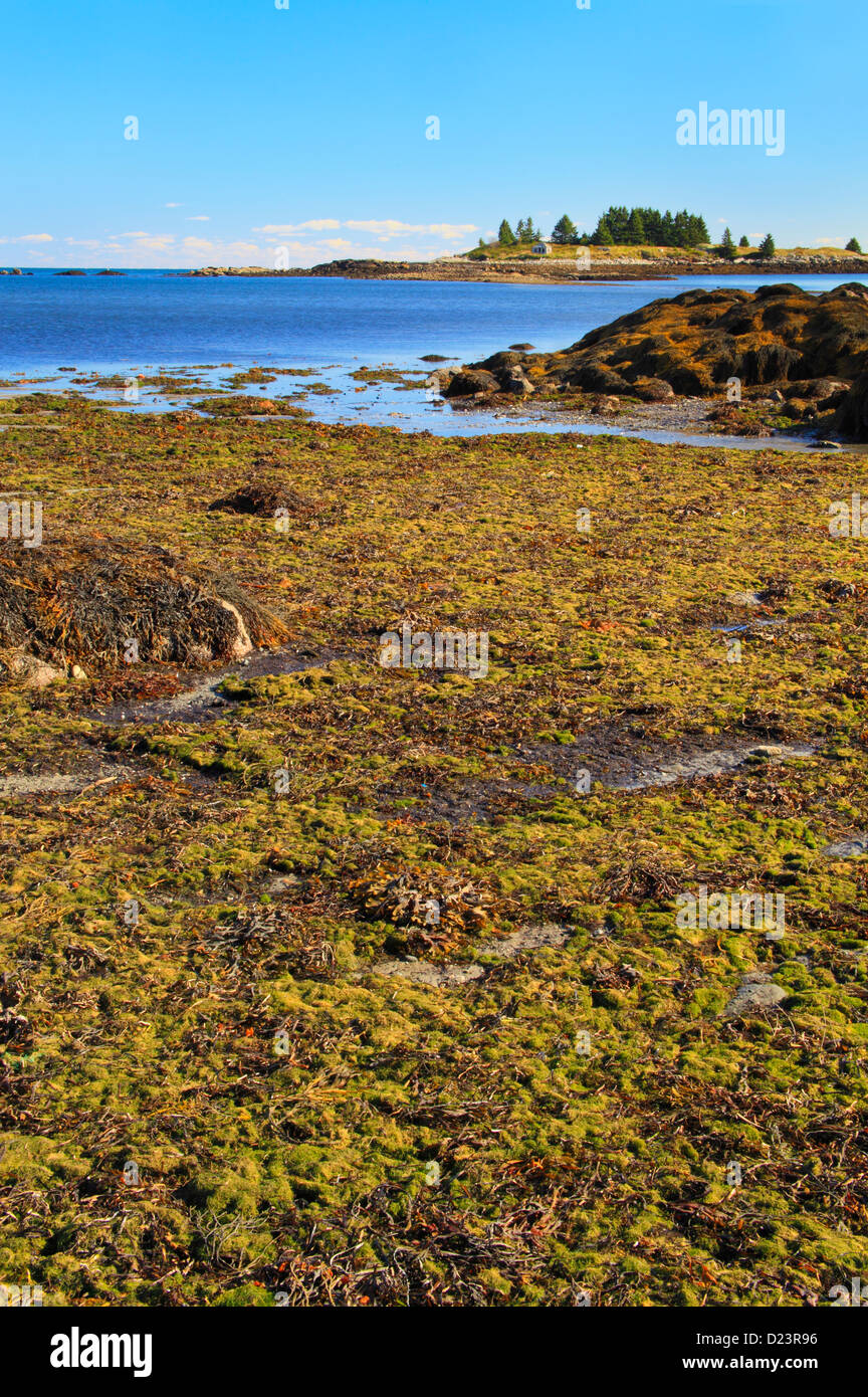 Geary's Beach Town Park, Vinalhaven, Paris, France Banque D'Images