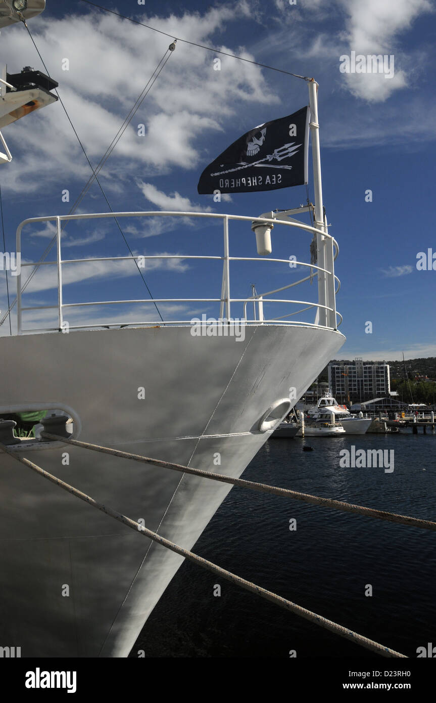 Proue du Sam Simon, Sea Shepherd navire de recherche, dans le port d'Hobart avant expédition en Antarctique Janv.-mars 2013 Banque D'Images