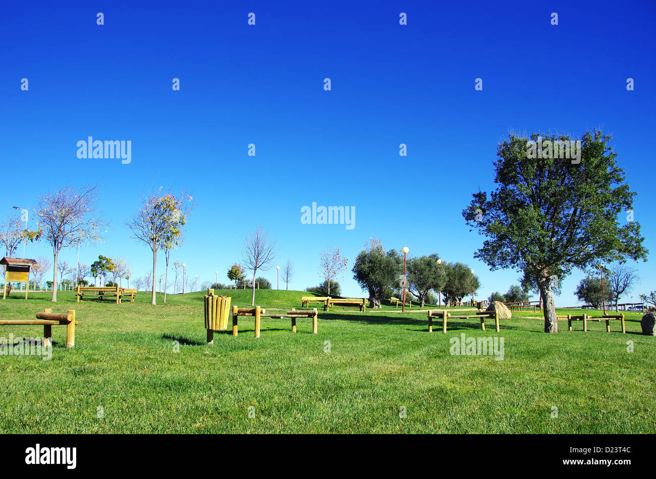 Chaises en bois dans la région de Green Park au Portugal Banque D'Images