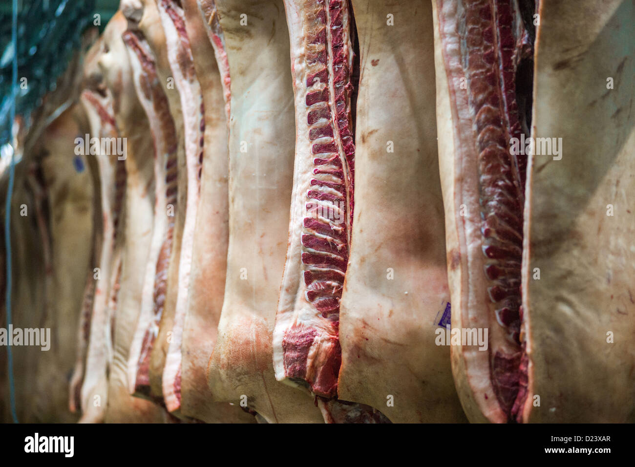 Les carcasses des porcs dans un abattoir Banque D'Images