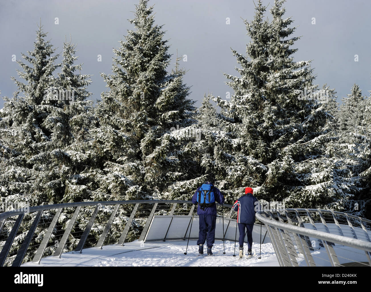 Les randonneurs à pied sur un pont de neige près de Oberhof, Allemagne, 11 janvier 2013. L'hiver est revenu à la forêt après des semaines de pluies. Photo : Hendrik Schmidt Banque D'Images