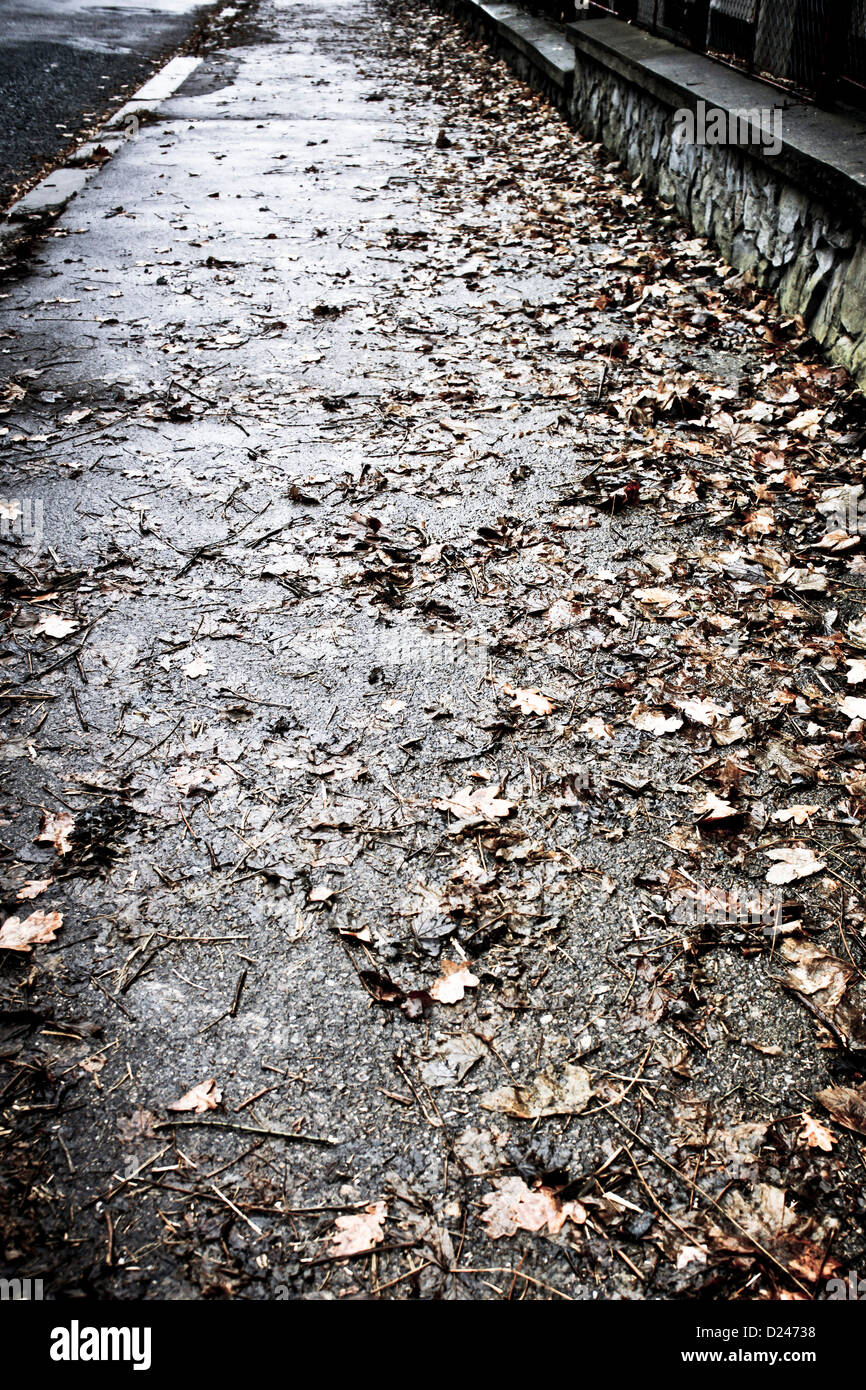 Trottoir avec les feuilles tombées Banque D'Images