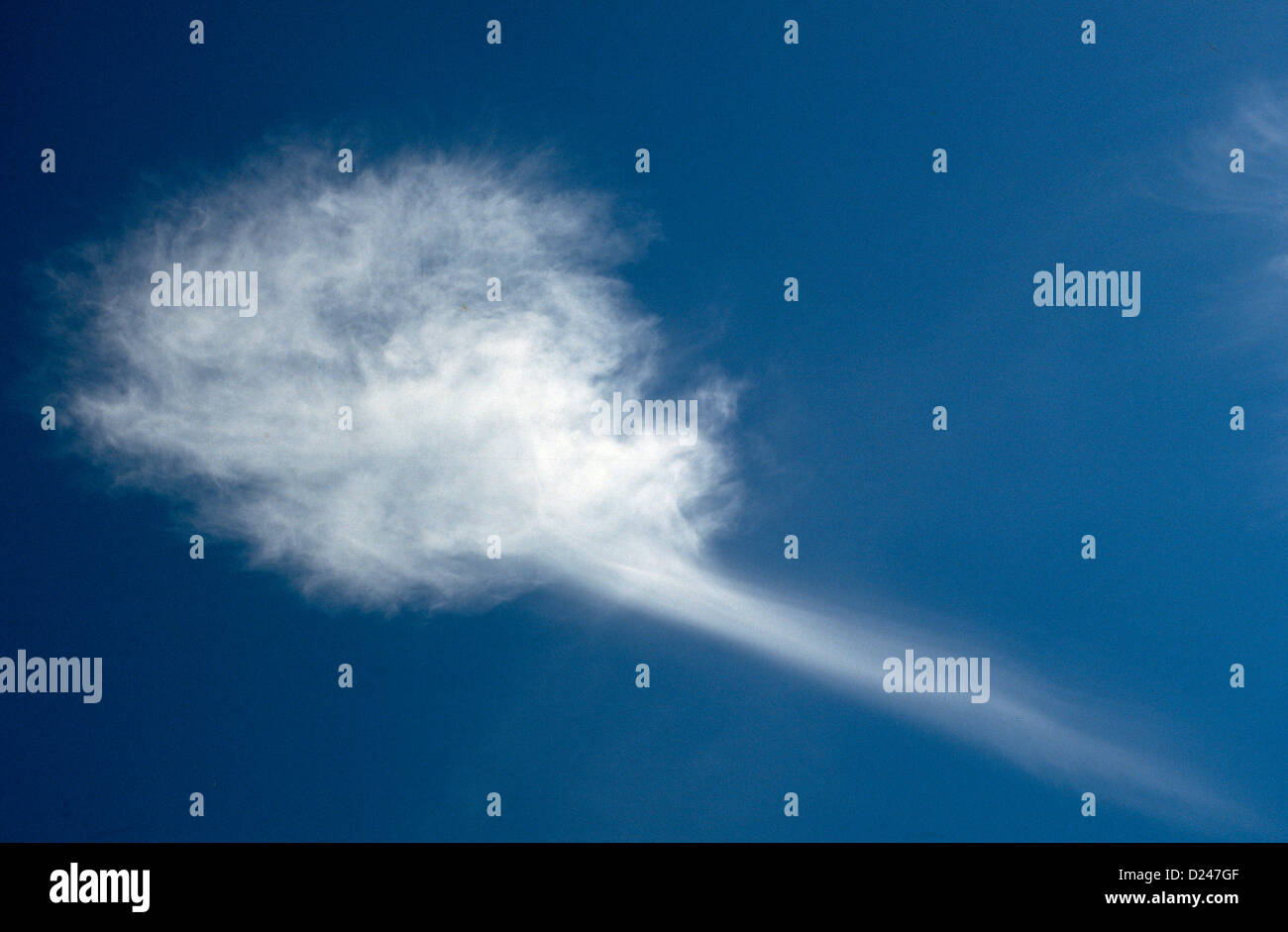 Ciel bleu avec des nuages blancs gonflées. Cloudscape. Banque D'Images