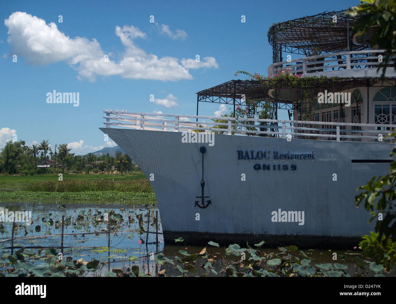 Le rare spectacle d'un bateau restaurant amarré dans un champ de riz, Hoi An Vietnam Banque D'Images