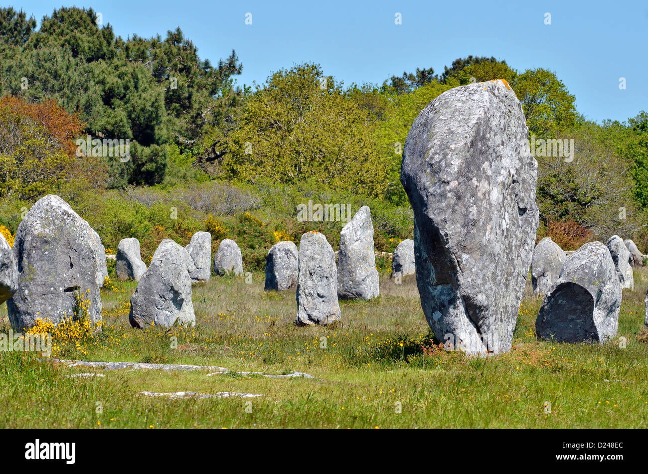 Célèbre menhirs de Carnac, dans le morbihan en Bretagne dans le nord-ouest de la France Banque D'Images