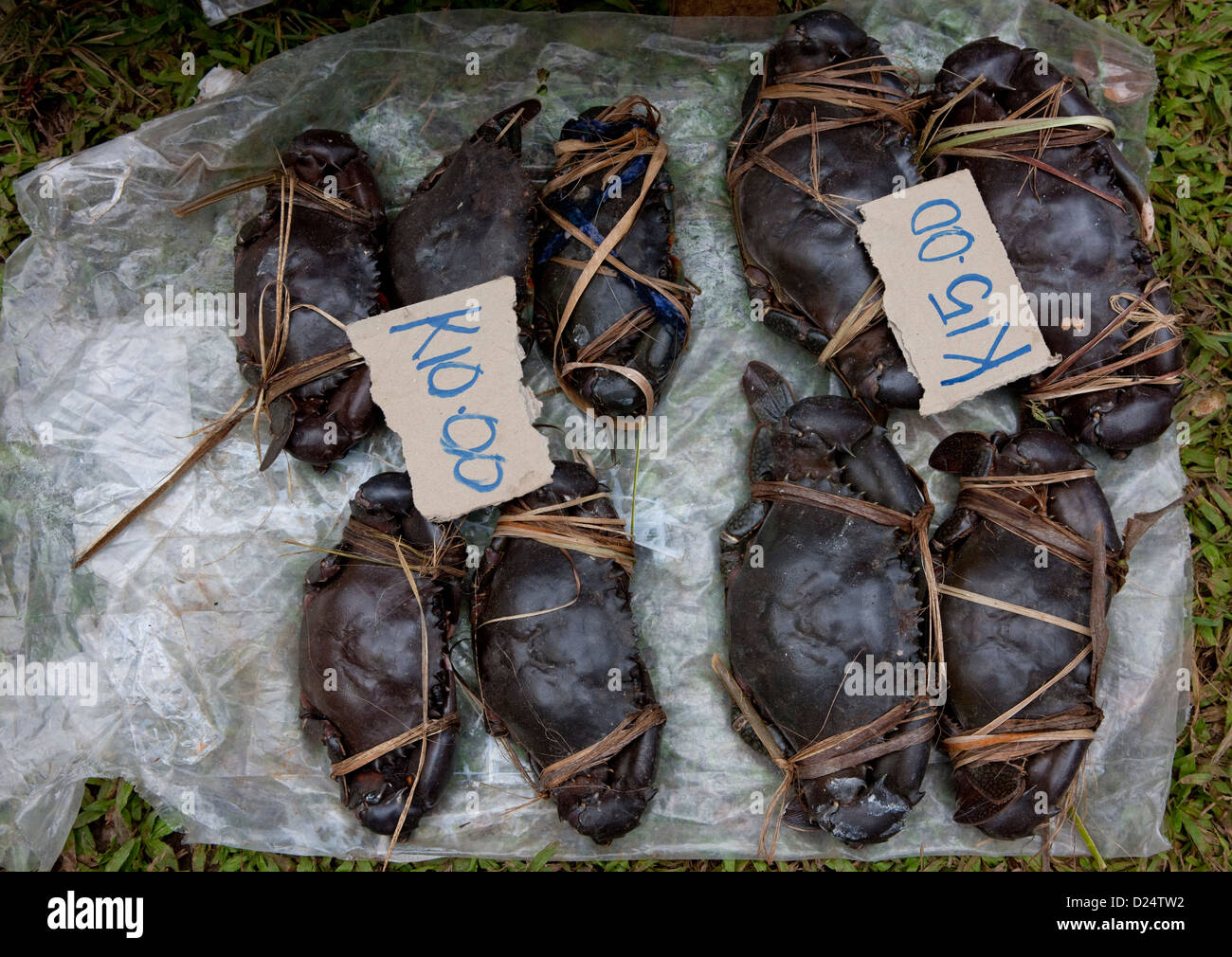 Les crabes frais au marché de Buka, Bougainville, en Papouasie Nouvelle Guinée Banque D'Images