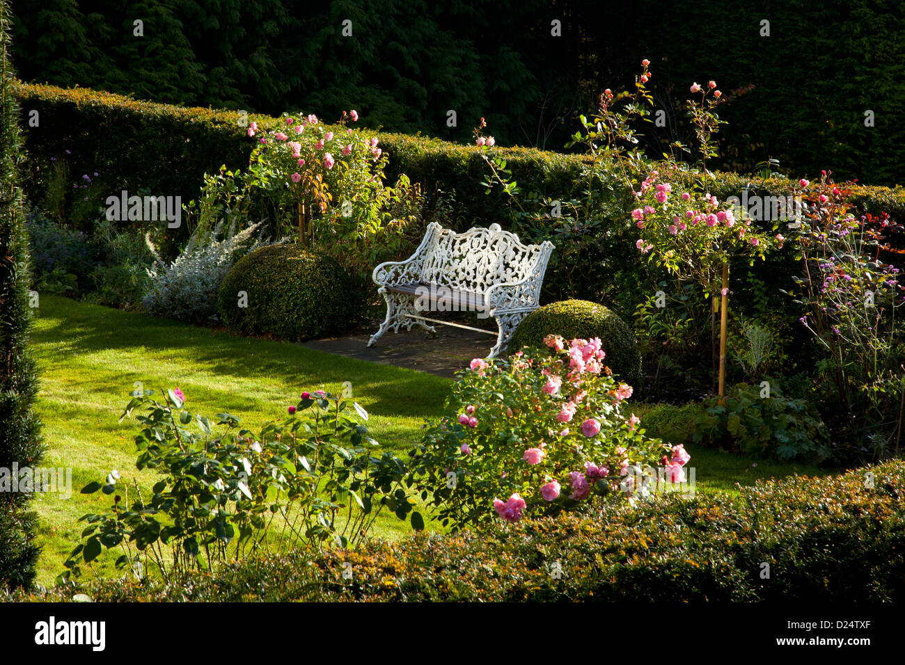 La fin de l'après-midi la lumière sur l'anglais jardin d'été, avec des Roses et siège de métal blanc. Banque D'Images