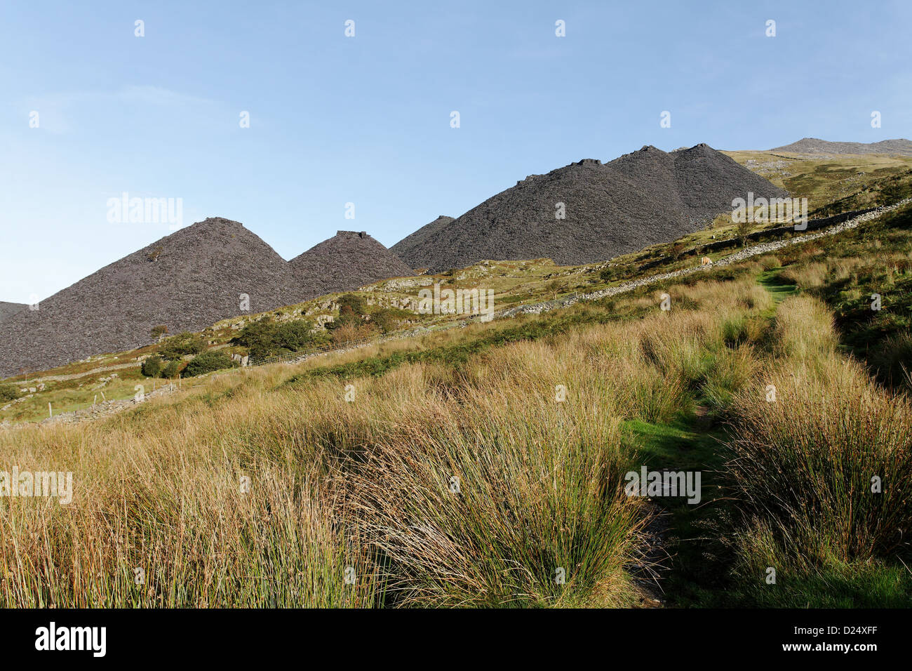 Ardoise sur Elidir Fawr, près de Llanberis, Snowdonia, Banque D'Images