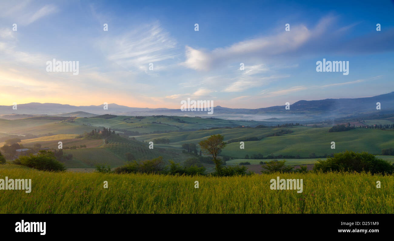 Brume du matin dans le Val d'Orcia, près de San Quirico, Toscane, Italie Banque D'Images