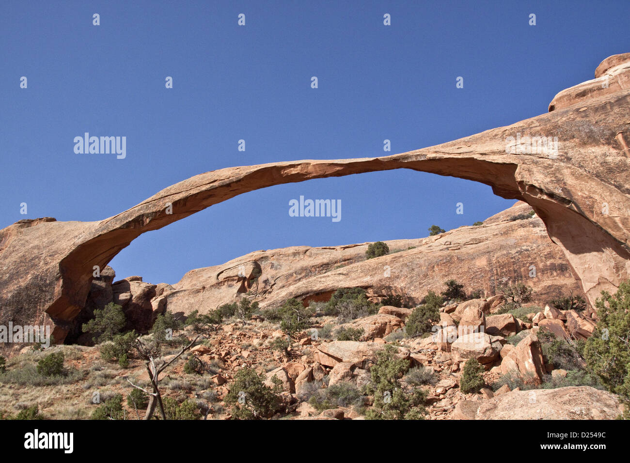 Landscape Arch dans Arches National Park Utah arch faits de Entrada Sandstone qui au fil du temps l'érosion de la glace d'eau pour former du vent Banque D'Images