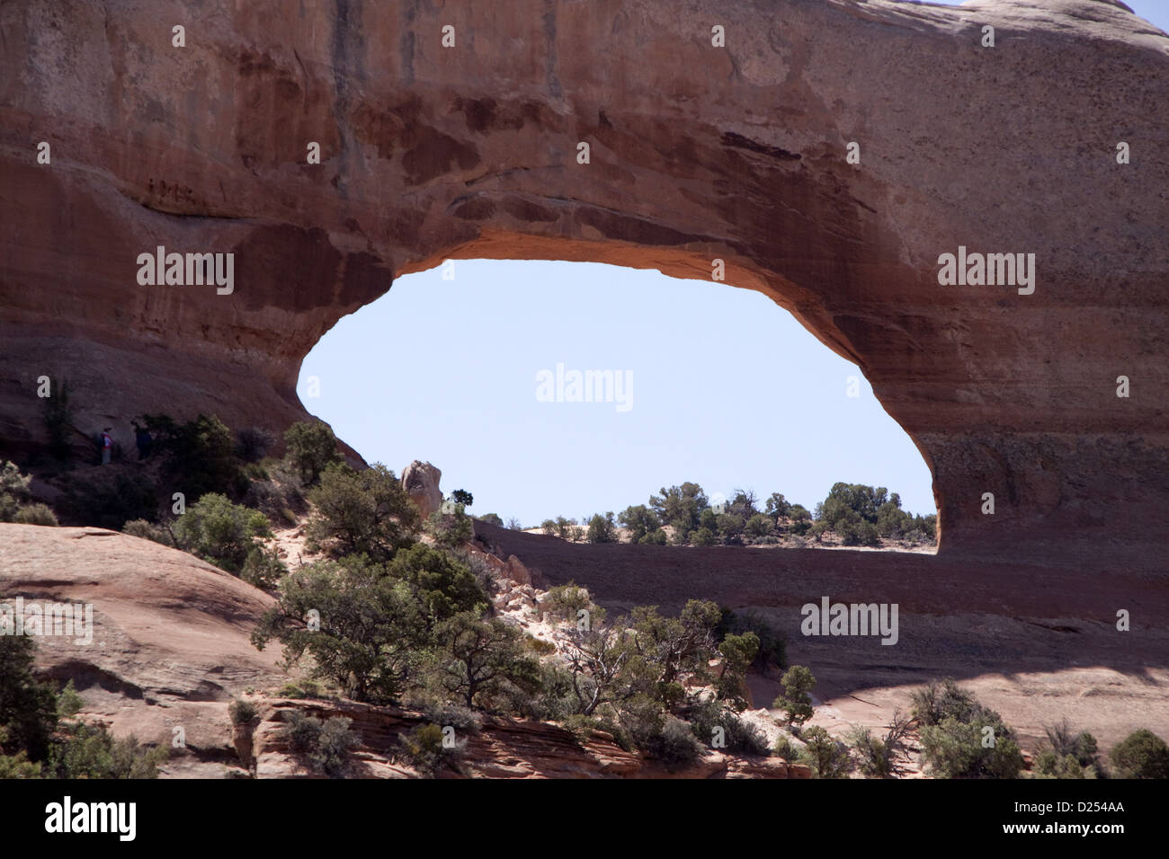 Wilson# s Arch Utah connu sous Entrada Sandstone au fil du temps des fissures superficielles plis joints ces couches étaient saturés d' Banque D'Images