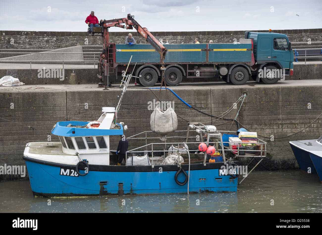 Bateau de pêche dans le port, avec le buccin étant déchargée sur camion, Saundersfoot, Pembrokeshire, Pays de Galles, août Banque D'Images