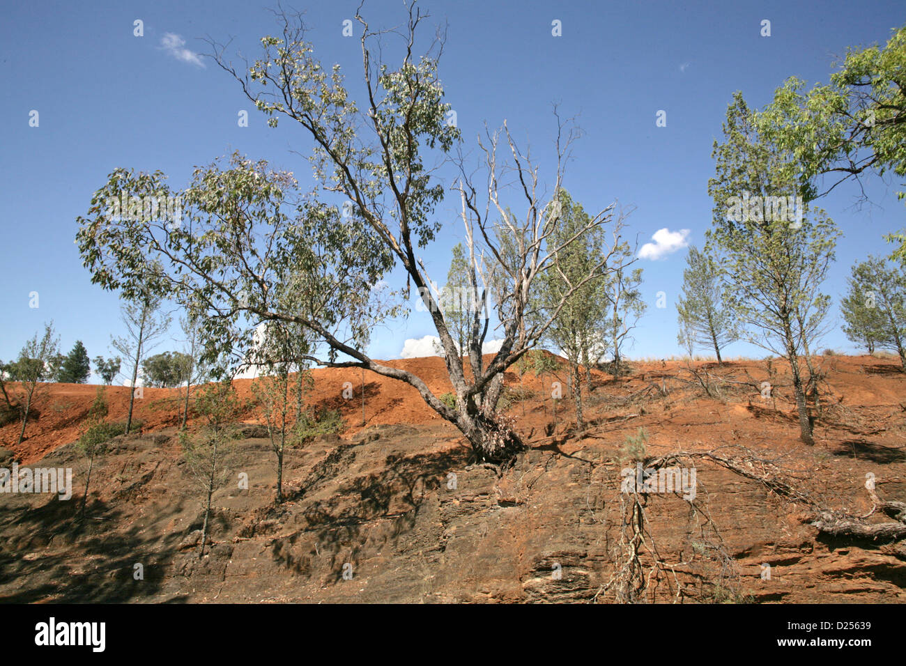 Lit du ruisseau à sec, New South Wales, Outback, Australia-Lake Keepit Banque D'Images