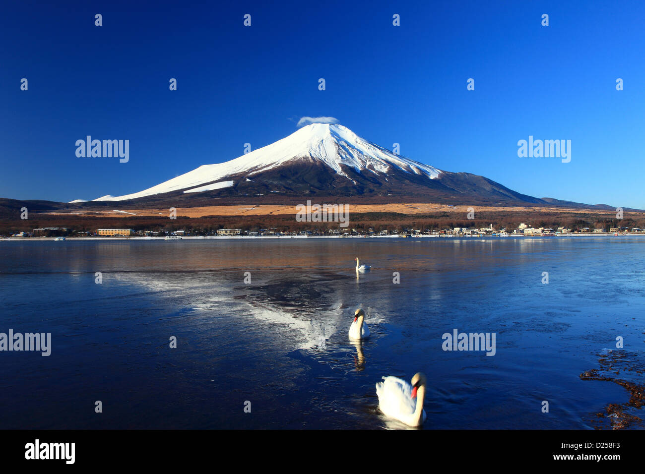 Le Mont Fuji reflétée sur le lac Yamanaka, préfecture de Yamanashi Banque D'Images