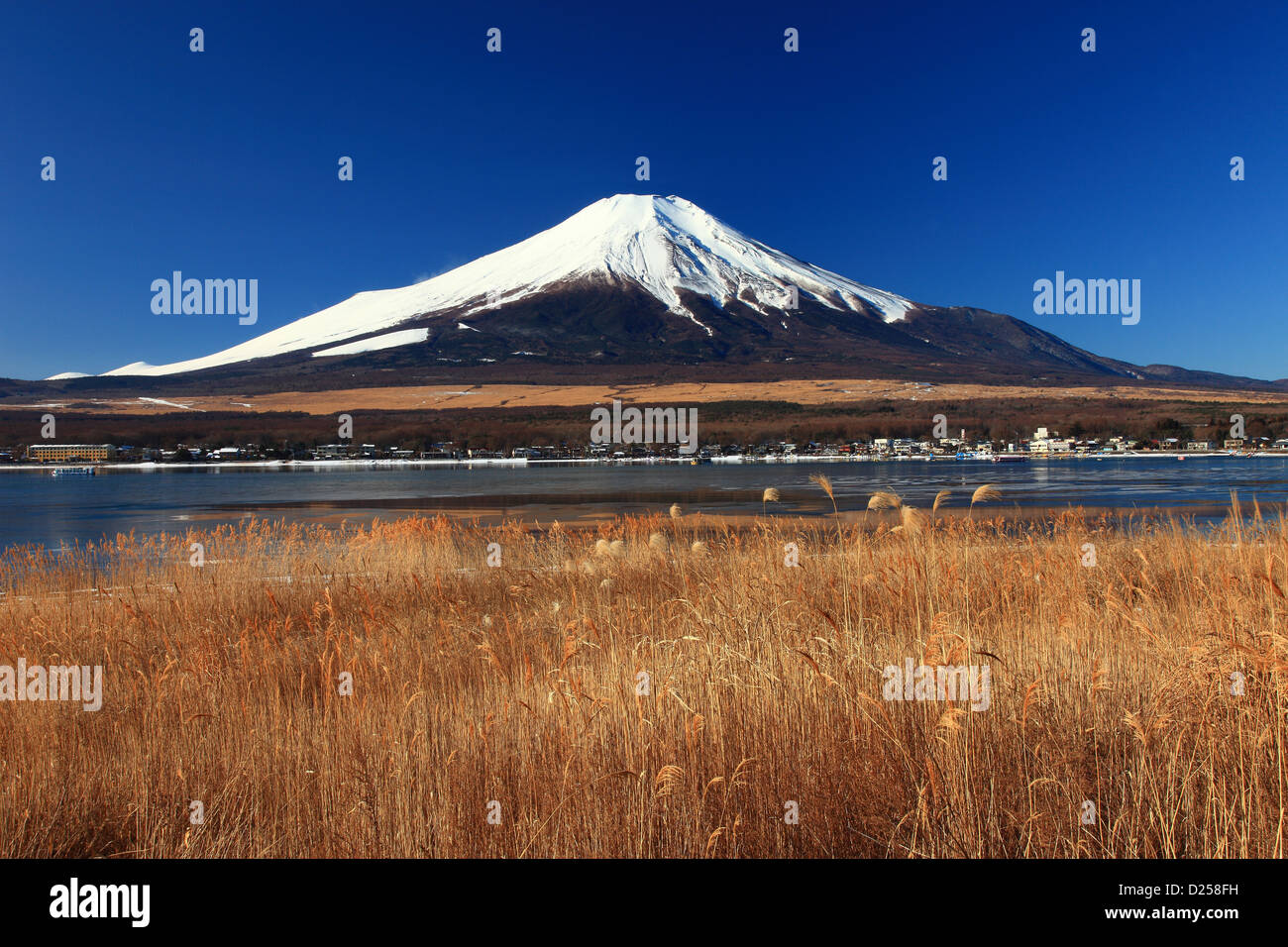 Le Mont Fuji et le lac Yamanaka, préfecture de Yamanashi Banque D'Images