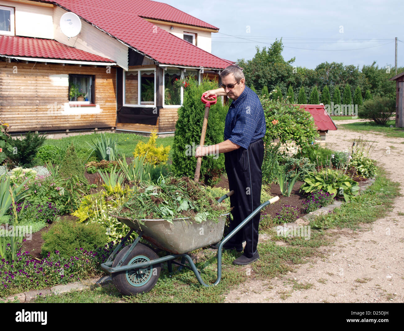 Jardinier principal près de flower bed avec fourche et brouette avec les mauvaises herbes Banque D'Images