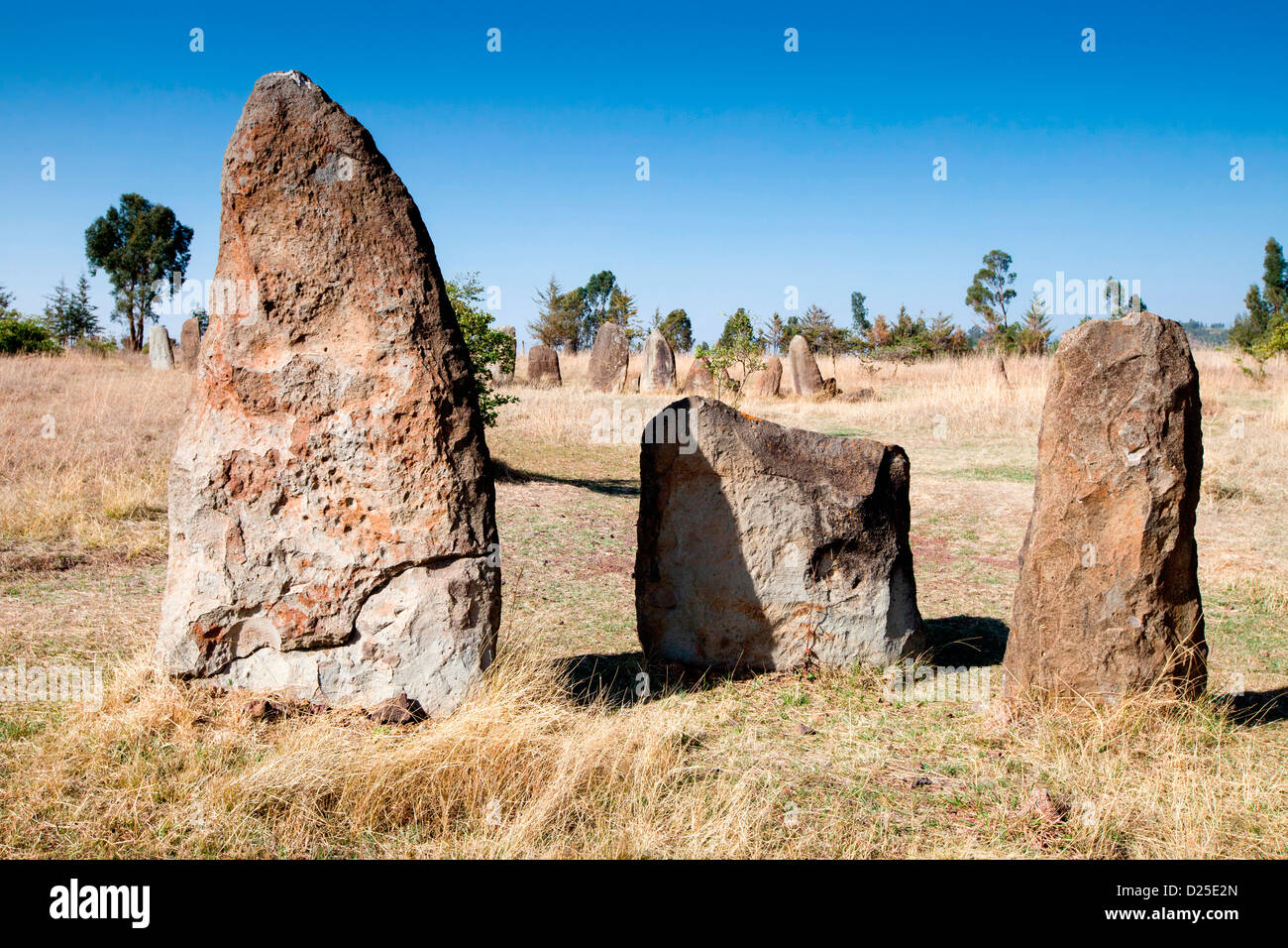 Stèles néolithiques gravé avec épées debout dans un champ près du village de Tiya en Ethiopie, l'Afrique. Banque D'Images