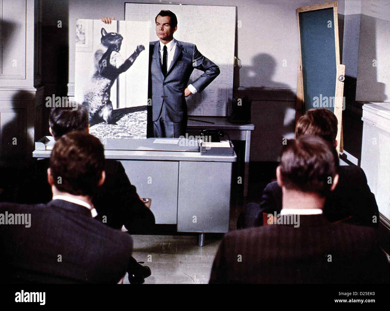 Alles für die Katz que Darn Cat Dean Jones Der-Agent du FBI Keso Zeke (Dean Jones,m) ist auf der Suche nach einer Siamkatze, Banque D'Images