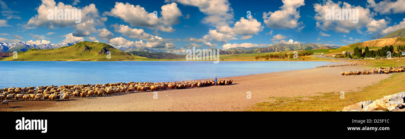 Rive du lac de Van, Turquie Banque D'Images