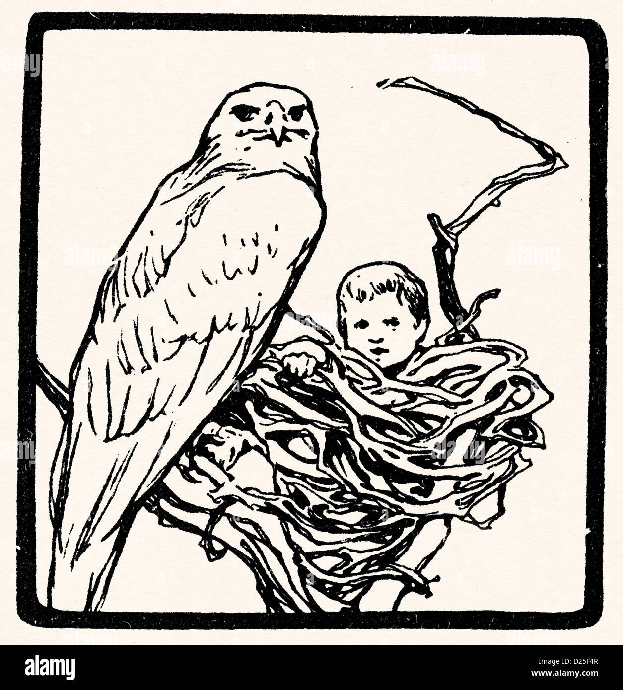 L'aigle et l'enfant dans le nid Banque D'Images