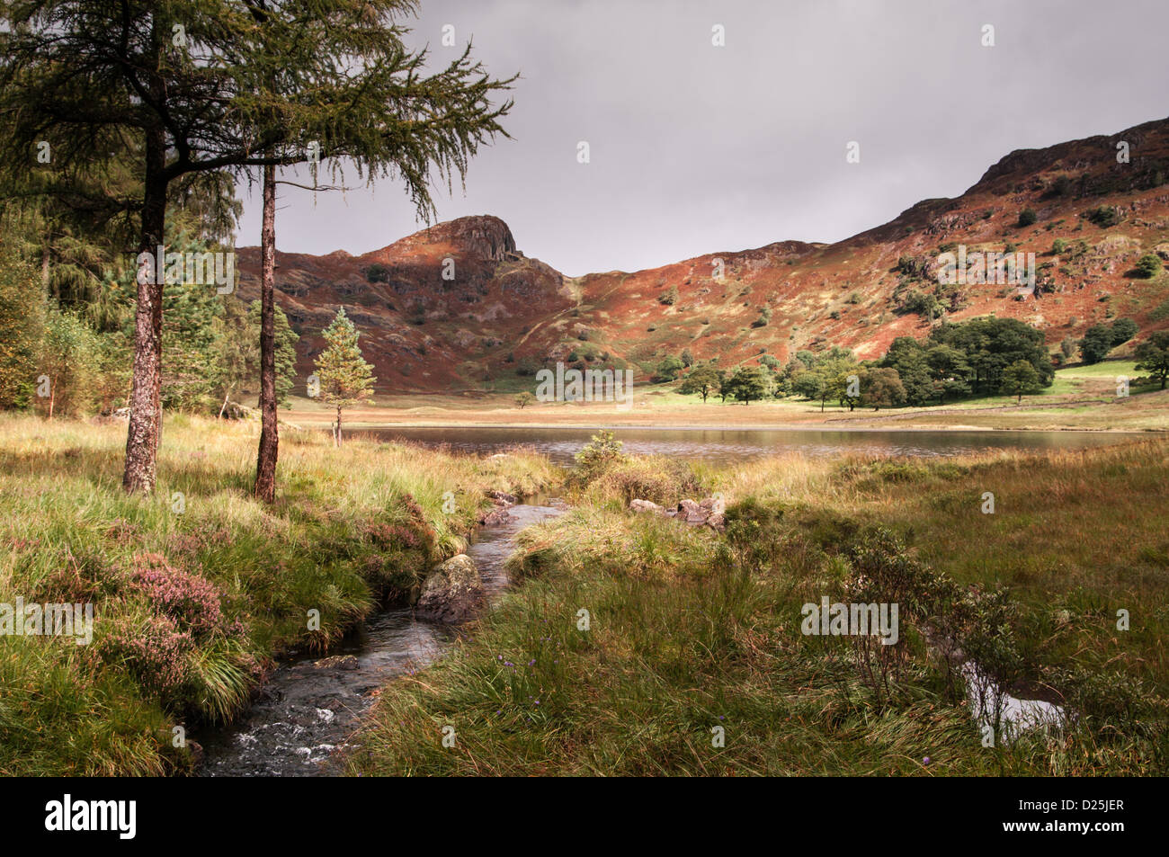 Langdale Pikes à travers Blea Tarn, Cumbria, South Lakeland, Royaume-Uni Banque D'Images