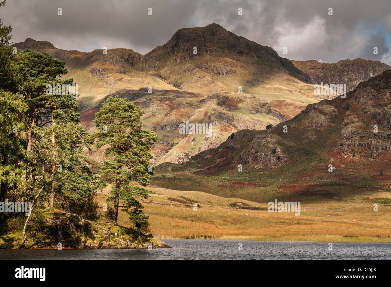 Langdale Pikes à travers Blea Tarn, Cumbria, South Lakeland, Royaume-Uni Banque D'Images