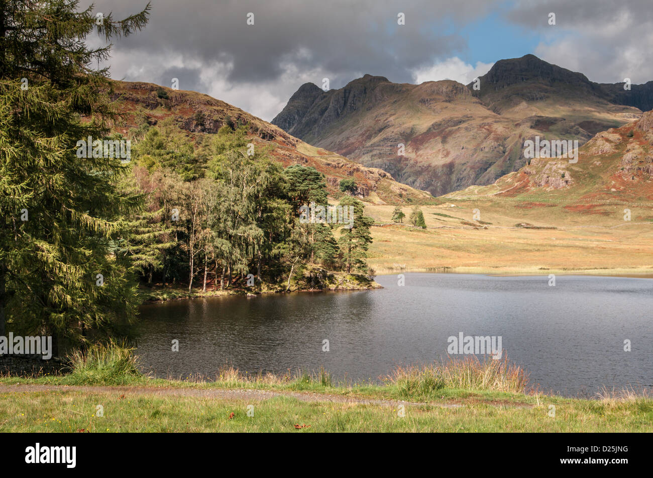 Langdale Pikes à travers Blea Tarn, Cumbria, South Lakeland, Royaume-Uni Banque D'Images