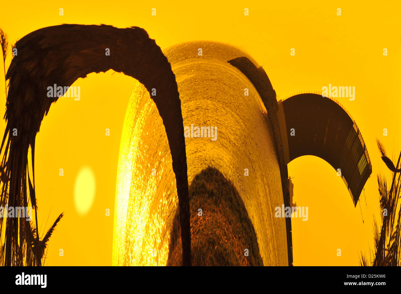 Modèle pour l'art créatif Banque D'Images