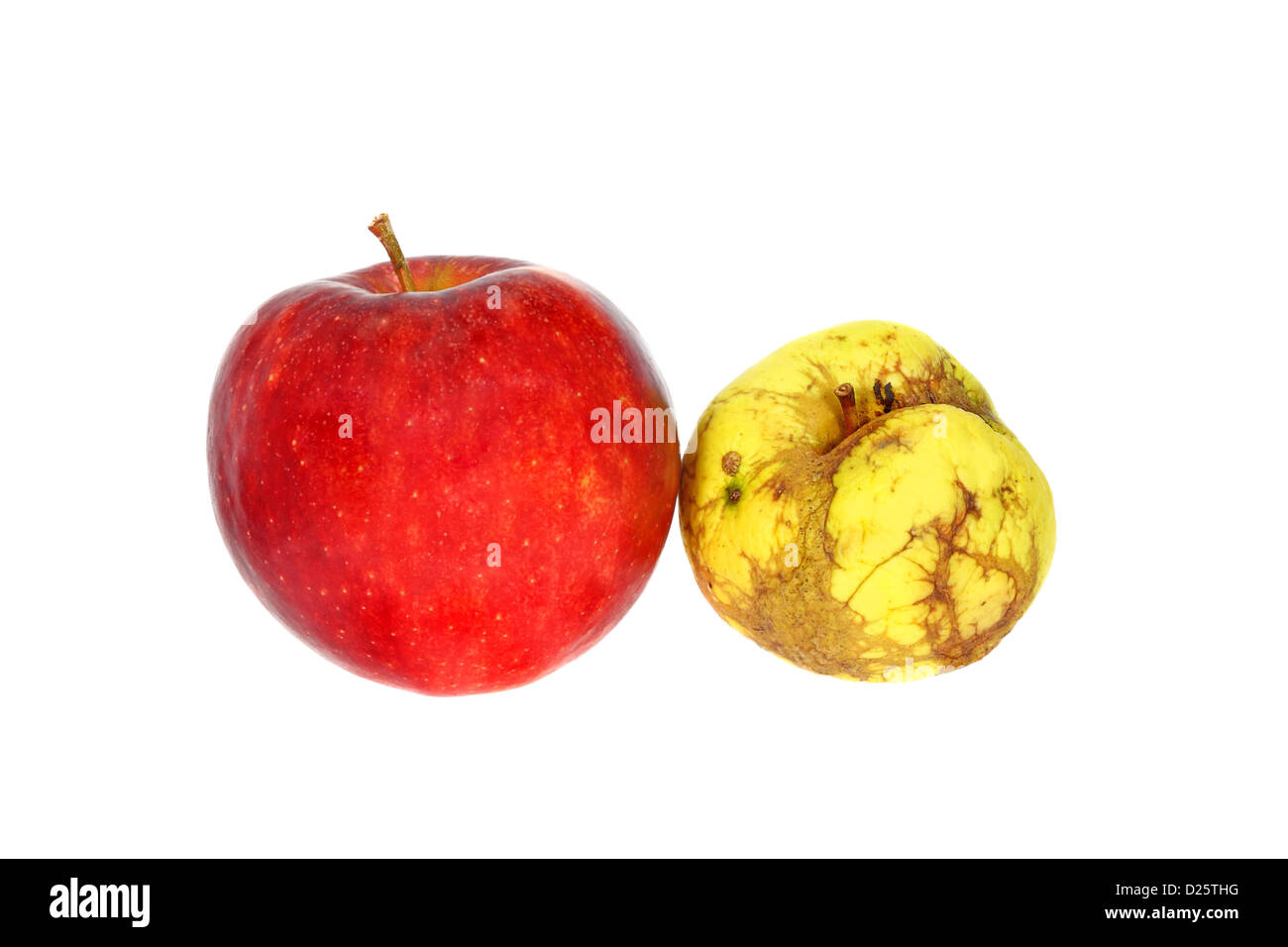 Ugly yellow apple près de la bonne pomme rouge isolé sur fond blanc Banque D'Images