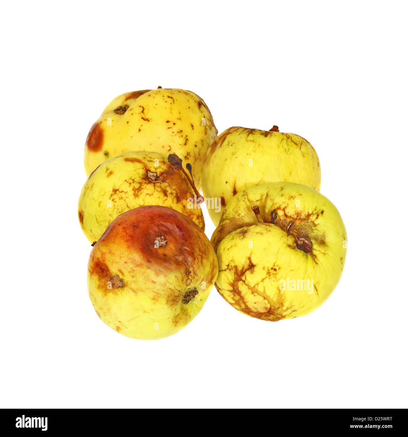 Les pommes pourries laid dans le groupe jaune isolé sur fond blanc Banque D'Images