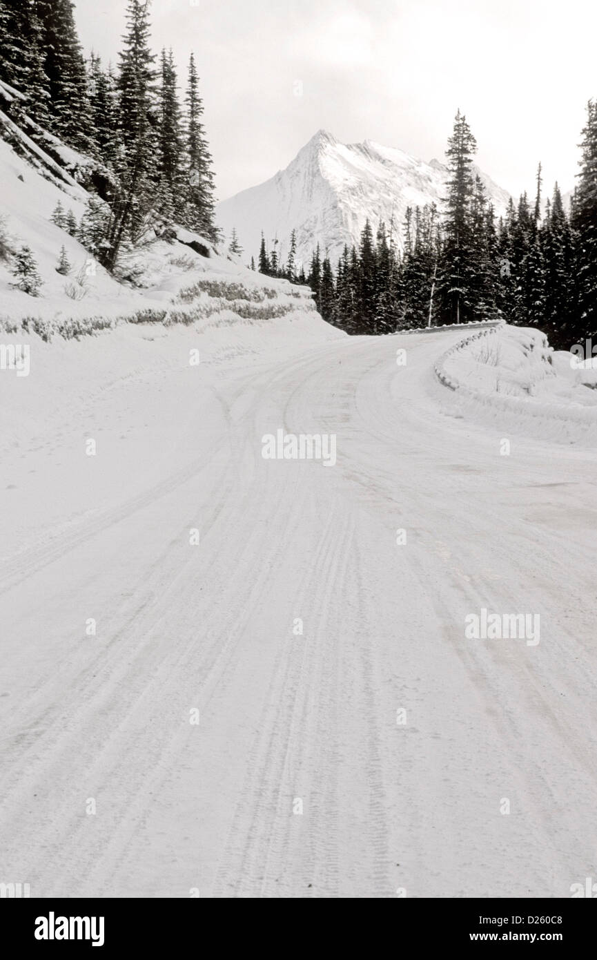 2 Route du Lac Maligne Banque D'Images