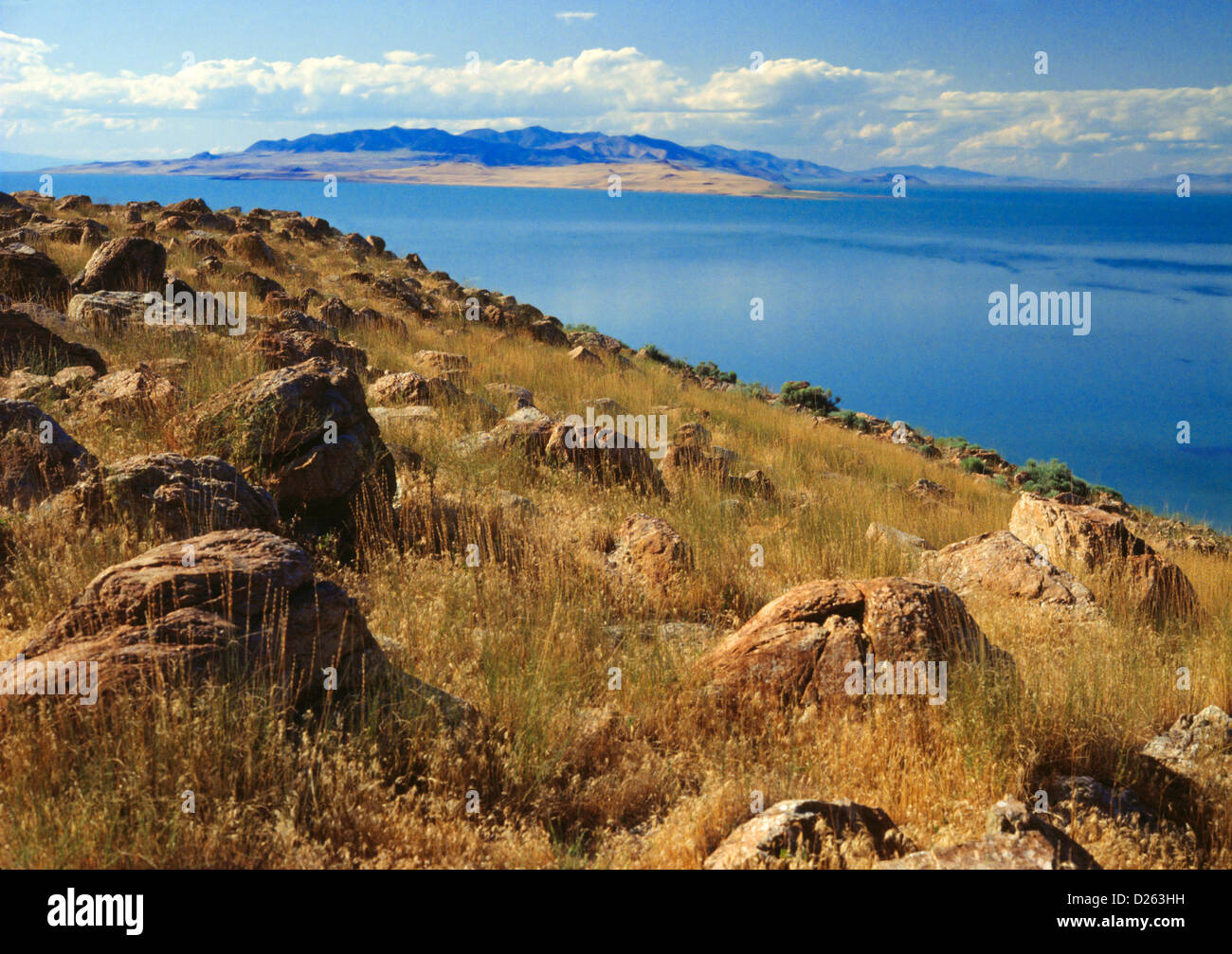 Antelope Island, Great Salt Lake Banque D'Images
