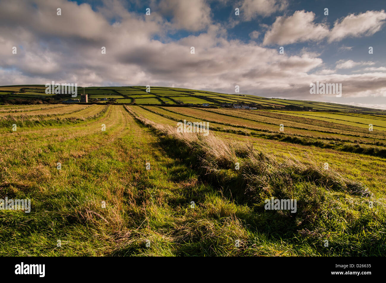 Forrabury Stitches, Cornwall Wadebridge Banque D'Images