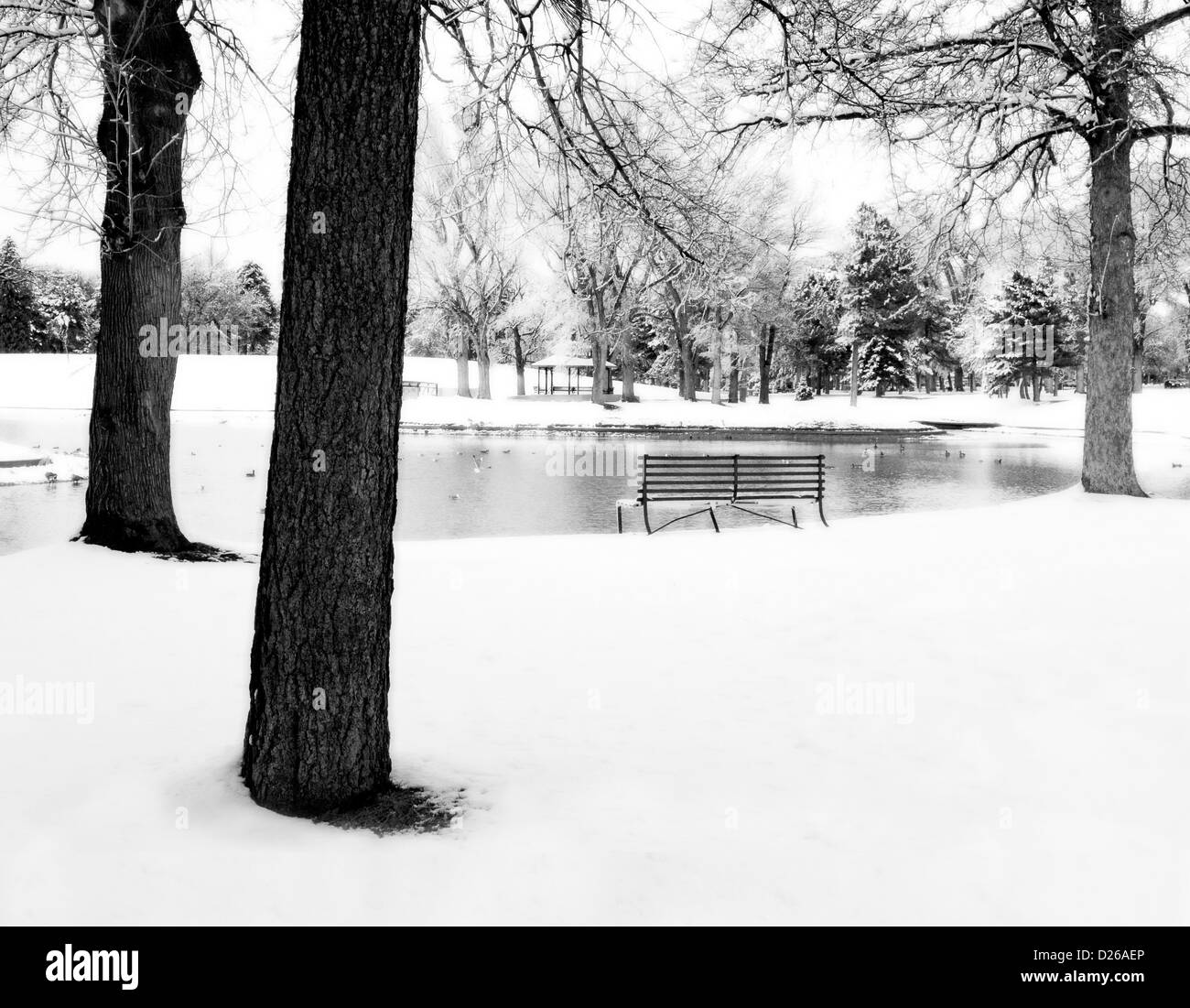 Parc en hiver Banque D'Images